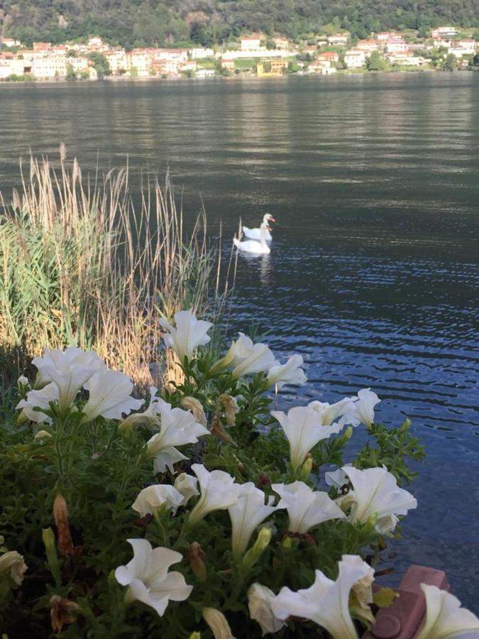La Casa Dei Cigni Sul Lago D'Orta Omegna Bagian luar foto